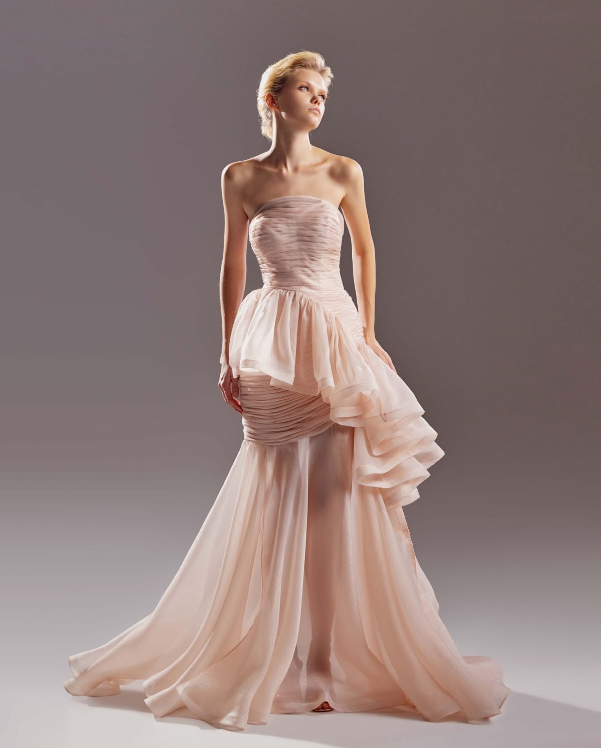 Twinkling Organza Dress