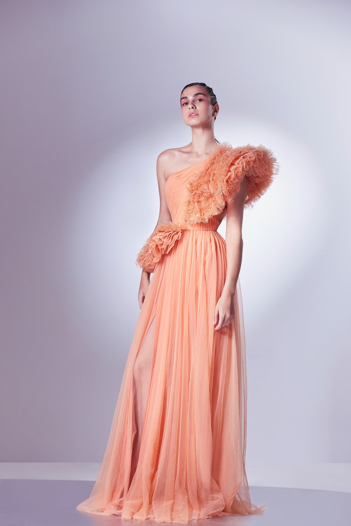 Pleated Lace And Tulle Dress