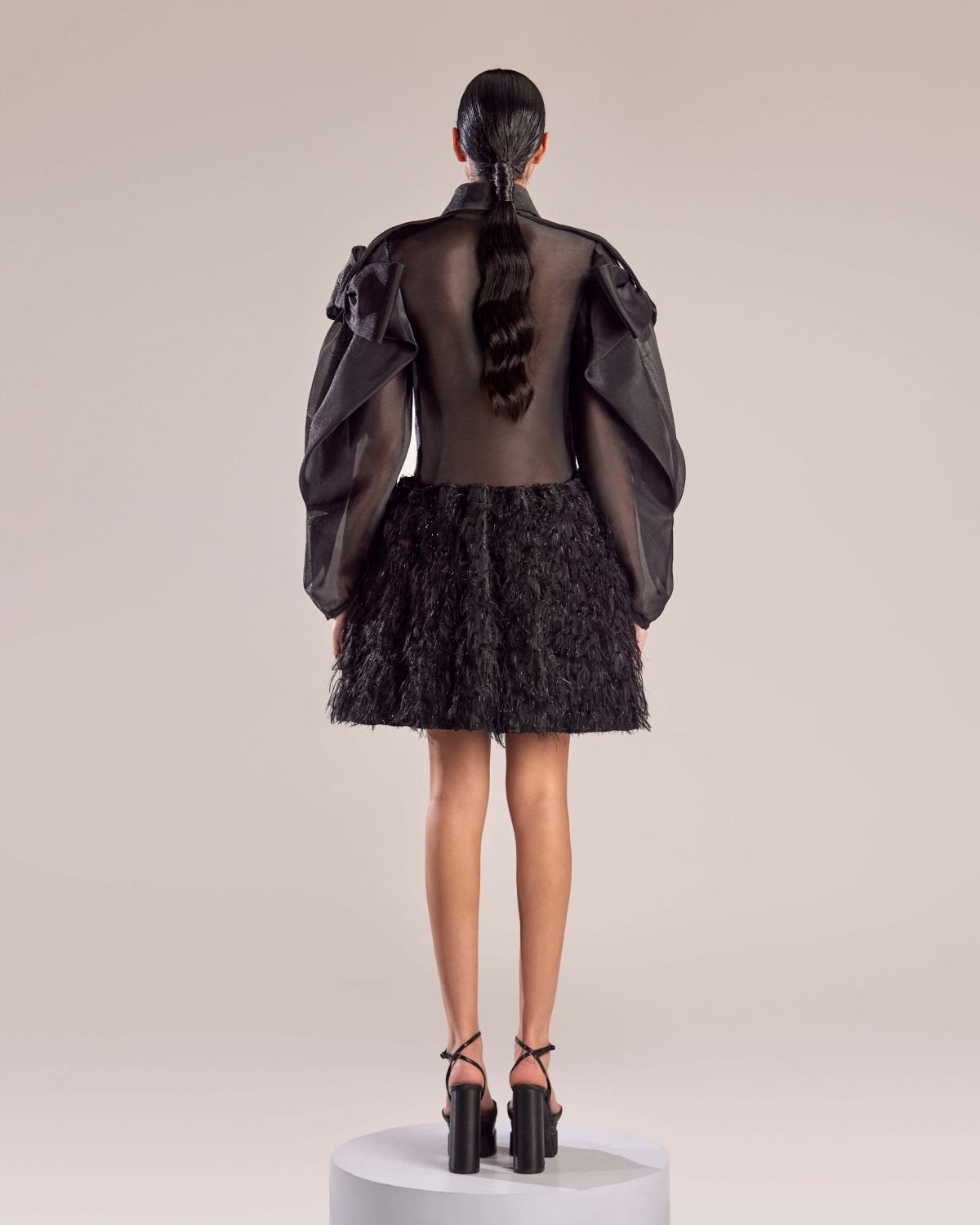 Black Sheer Organza Feathered Skirt Dress