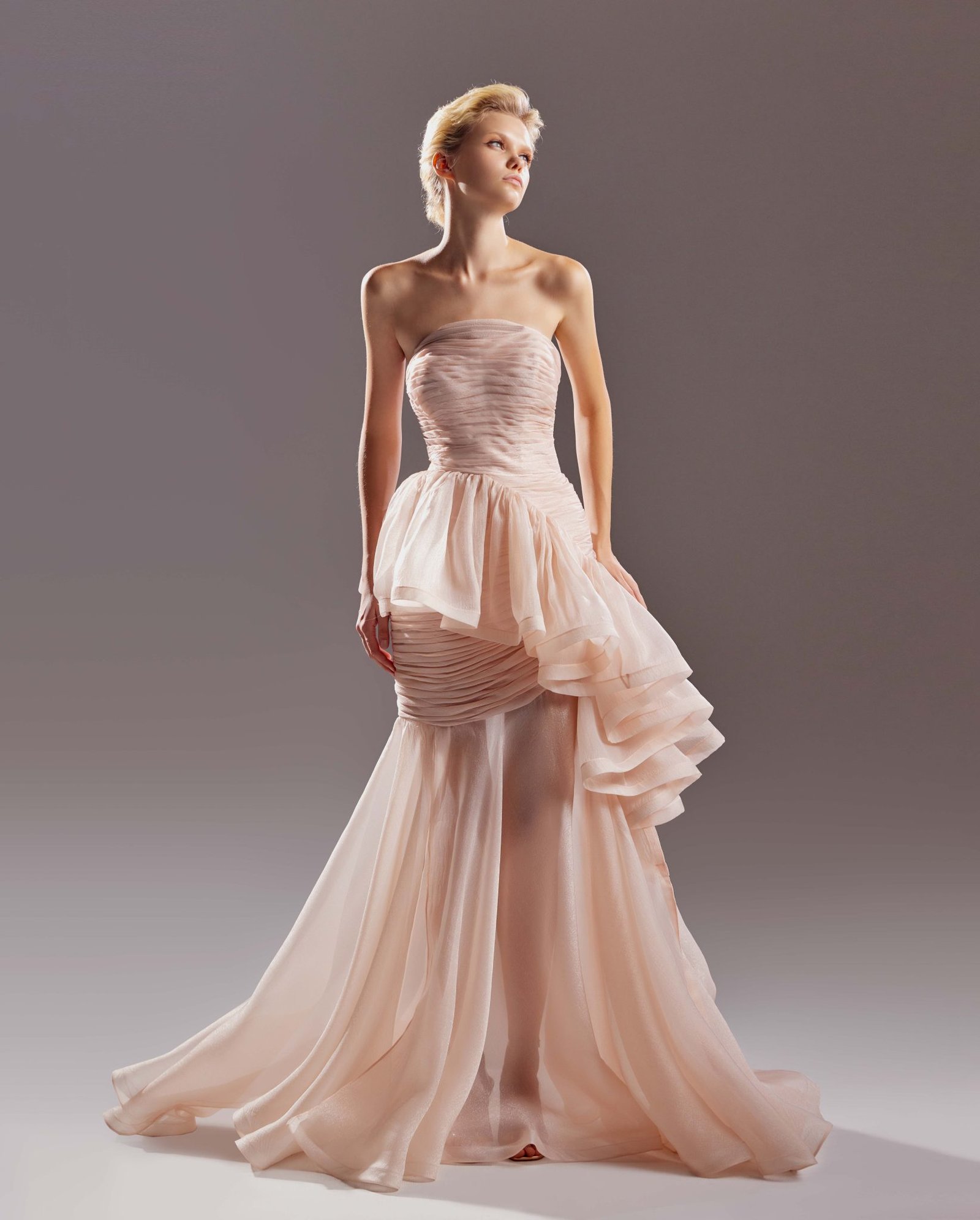 Twinkling Organza Dress