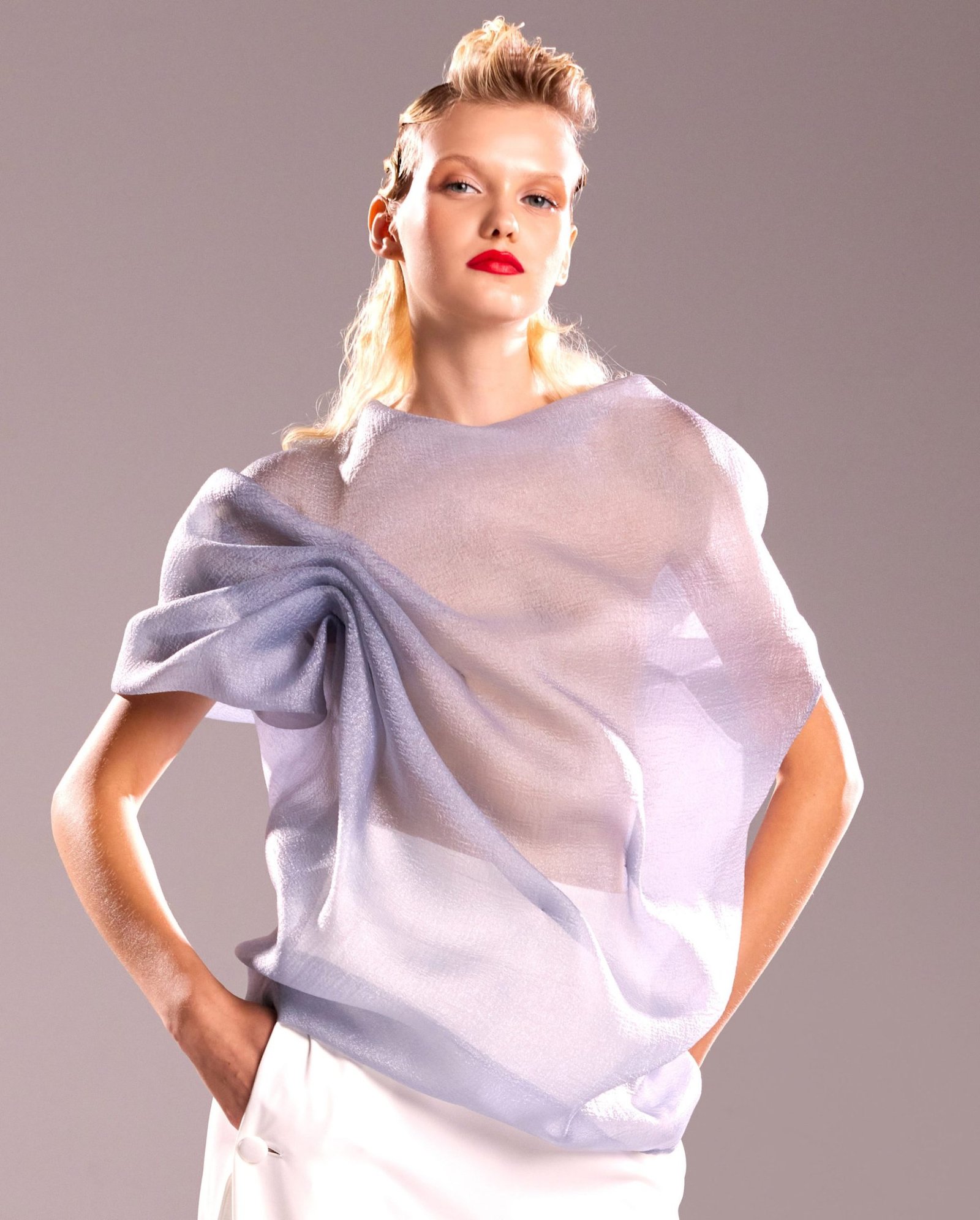 Sheer Silver Blue Top