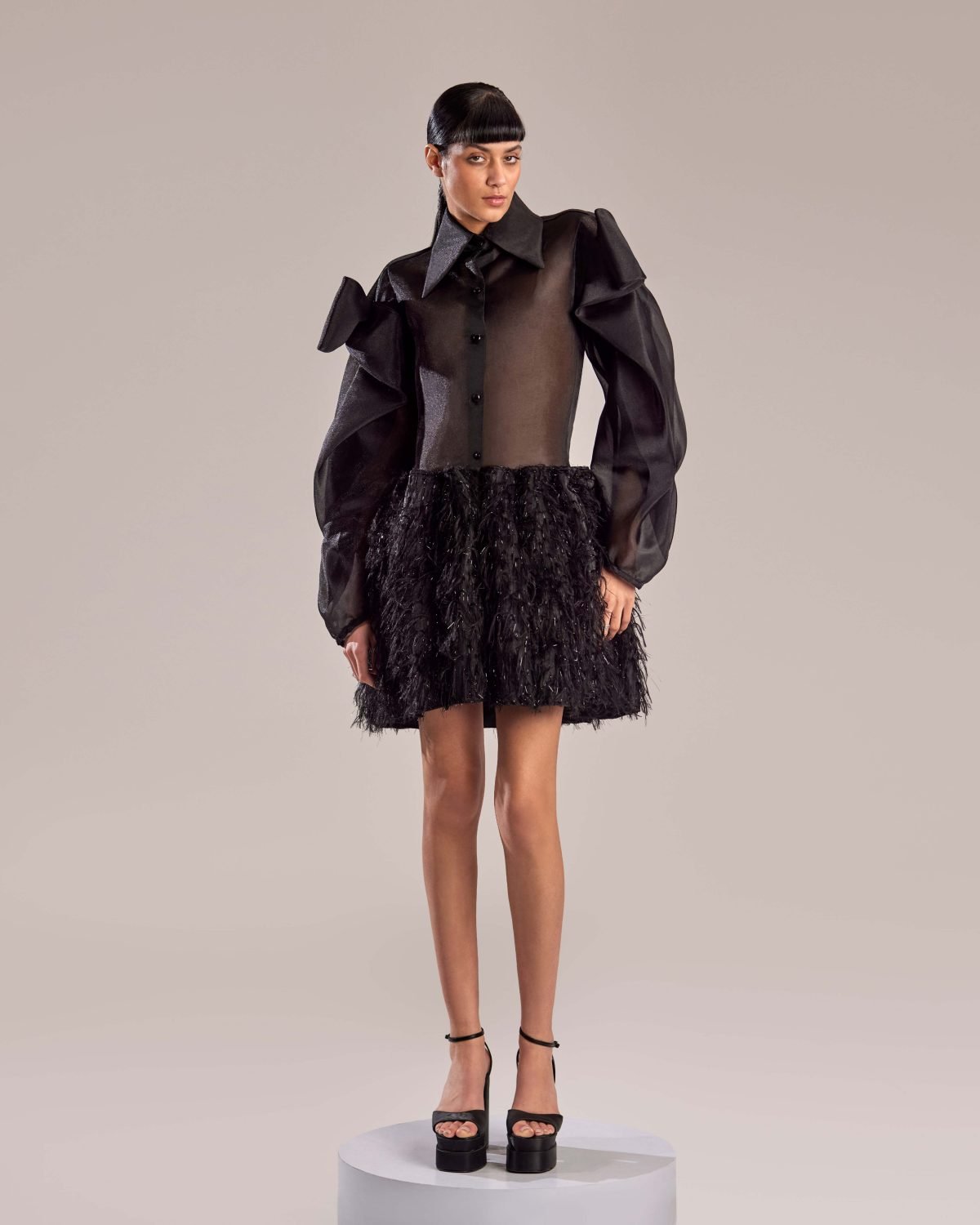 Black Sheer Organza Feathered Skirt Dress