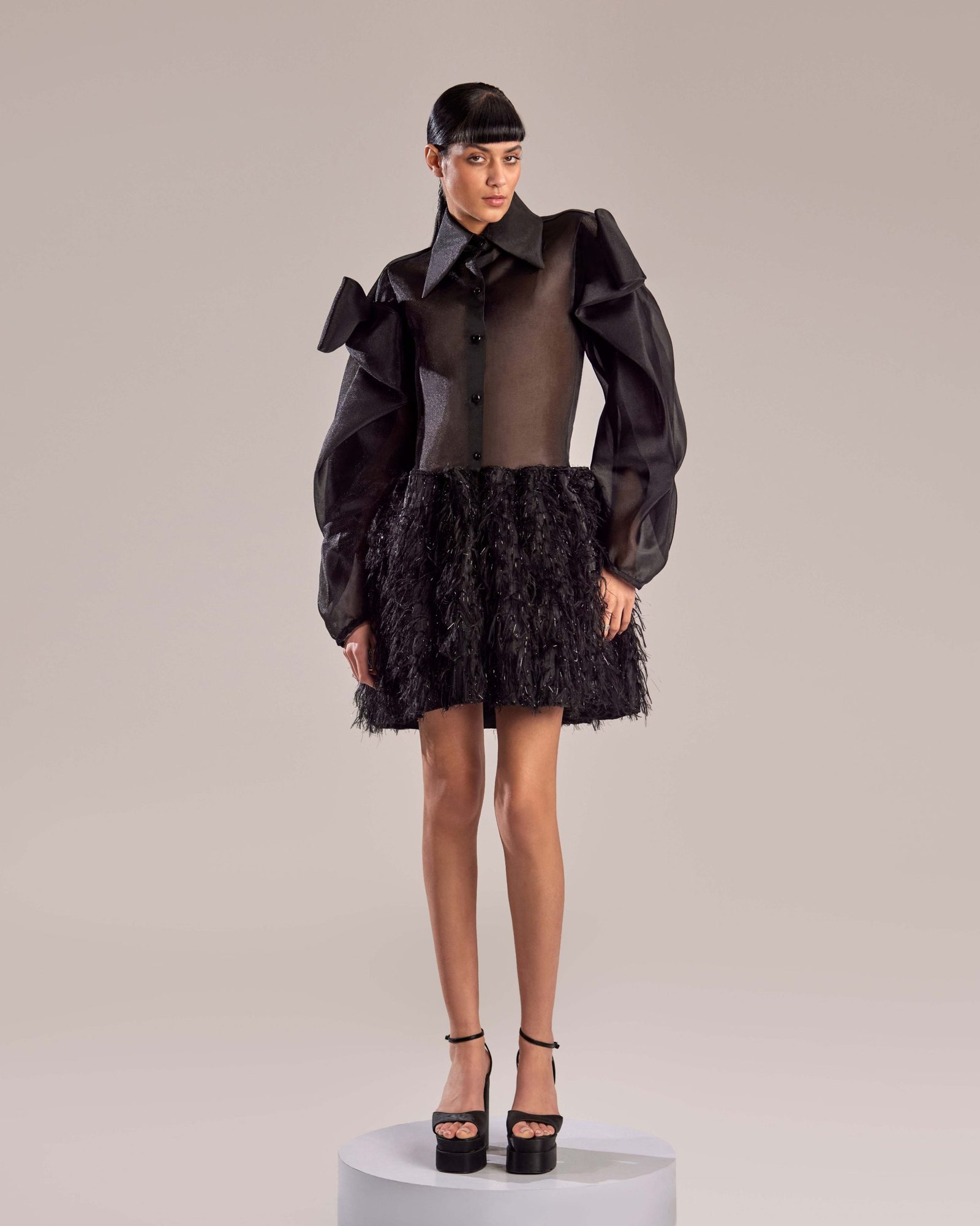 Black Sheer Organza Feathered Skirt Dress