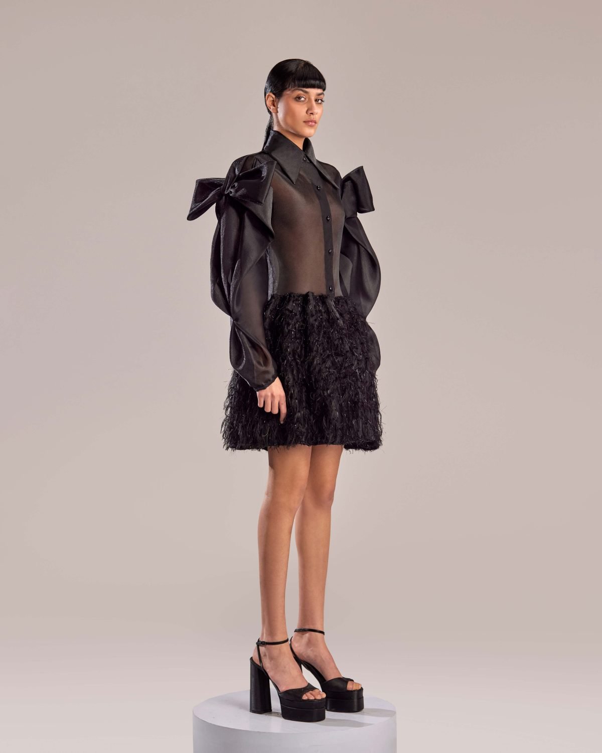 Black Sheer Organza Feathered Skirt Dress