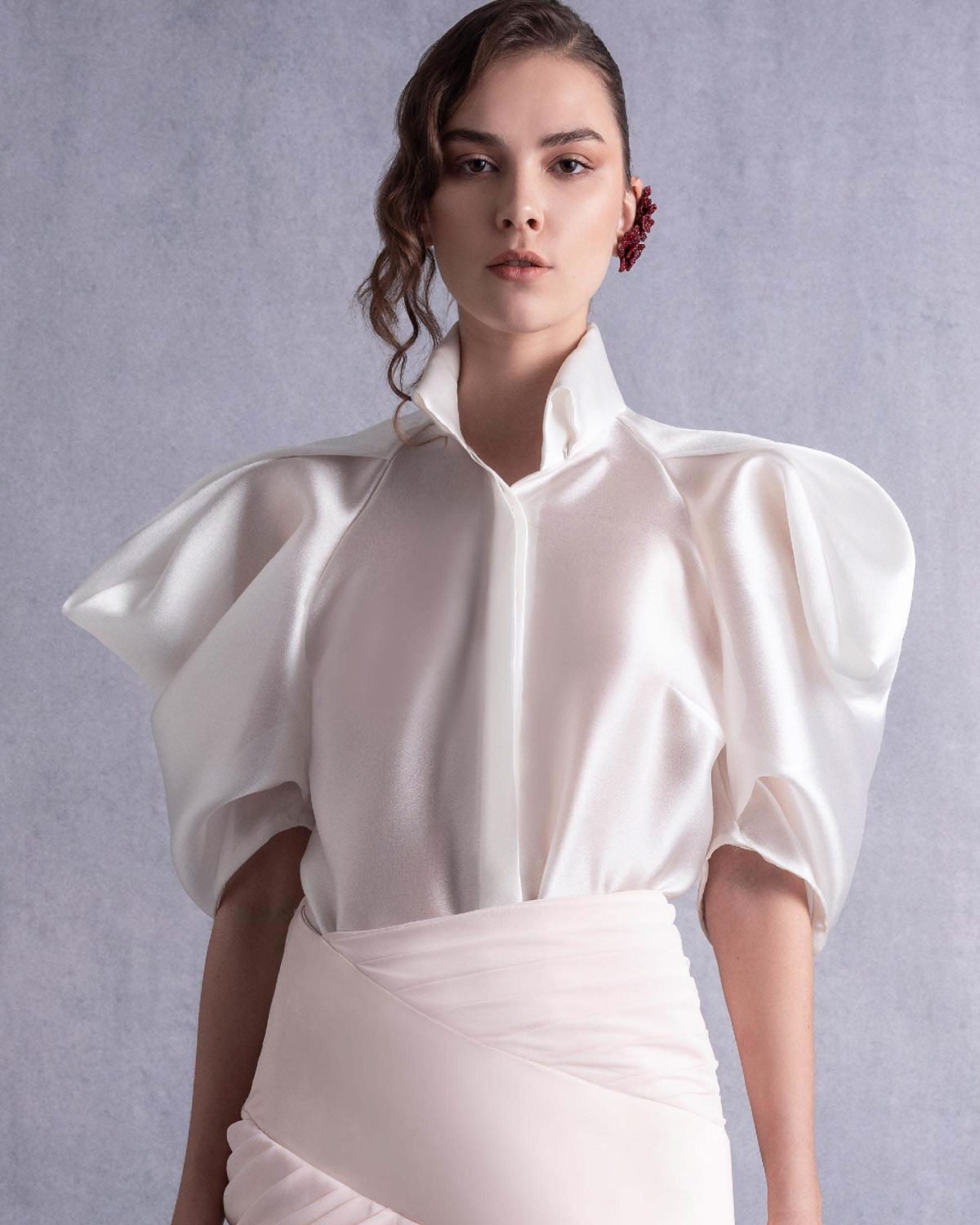 Puffy Sleeves Sheer Organza Blouse