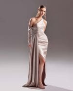One Sleeve Gold Nude Dress